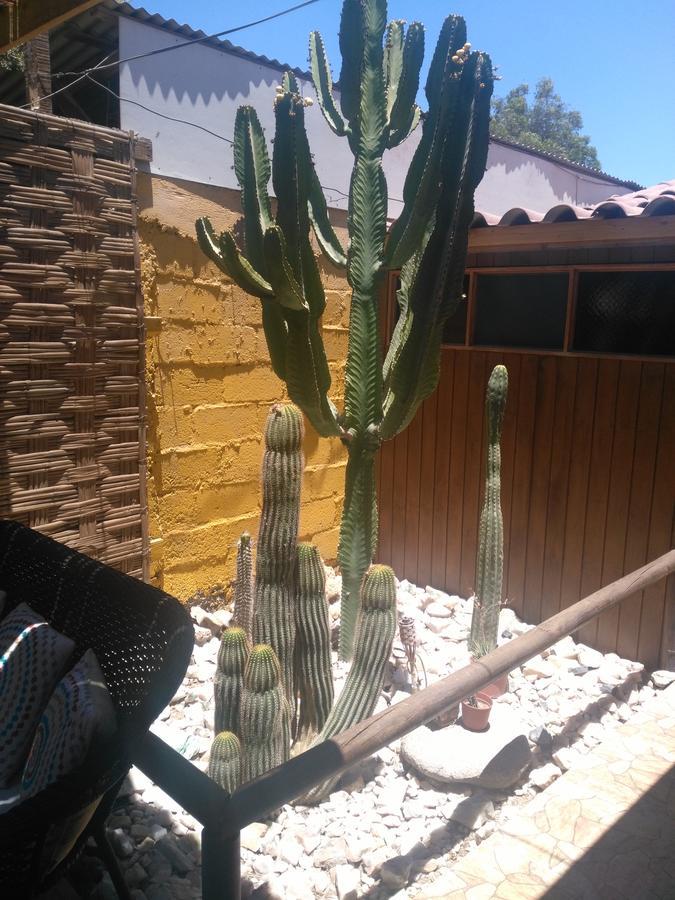 Hostal Cactus Copiapó Exterior foto